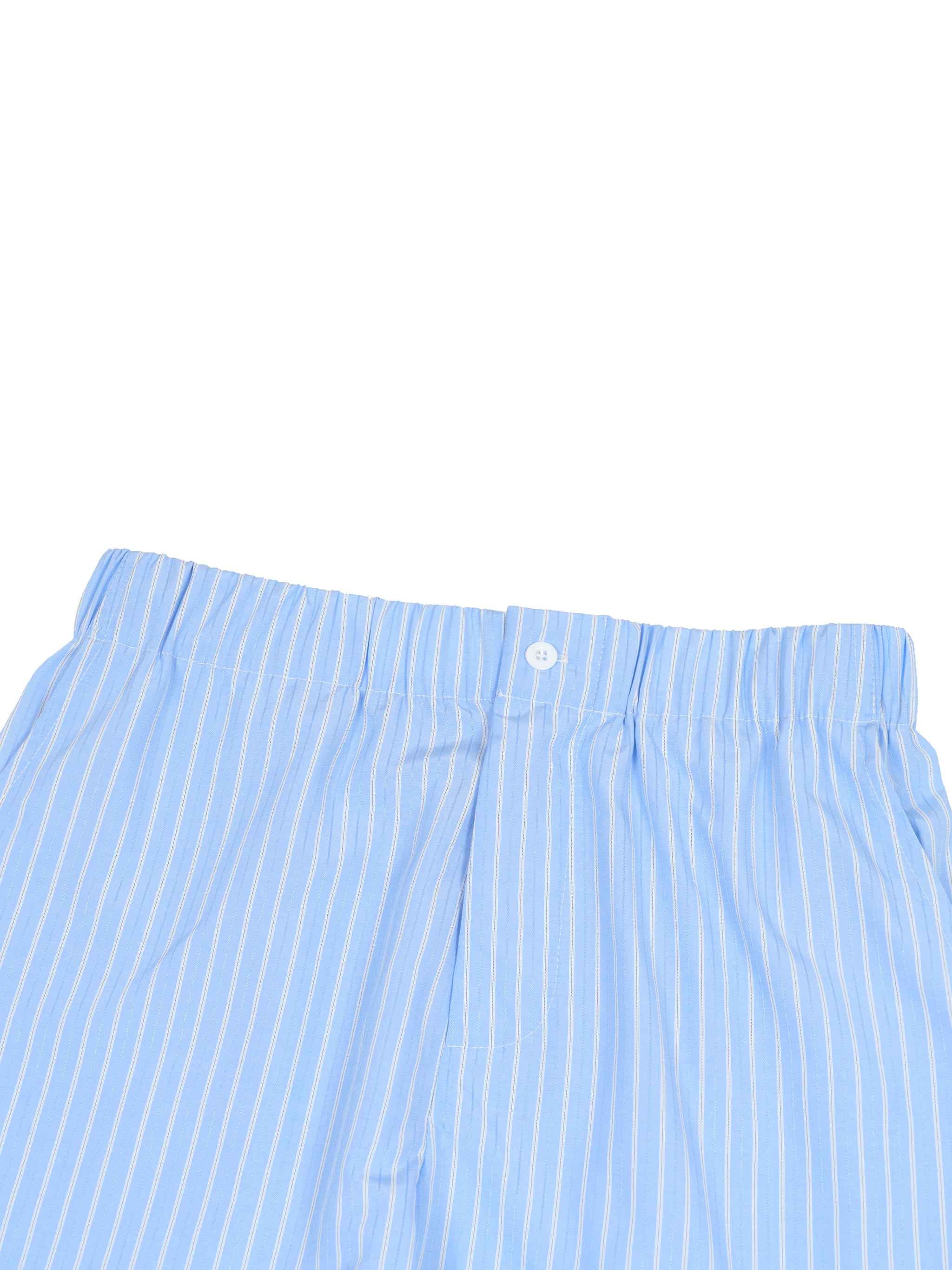 Blue and White Striped Shorts
