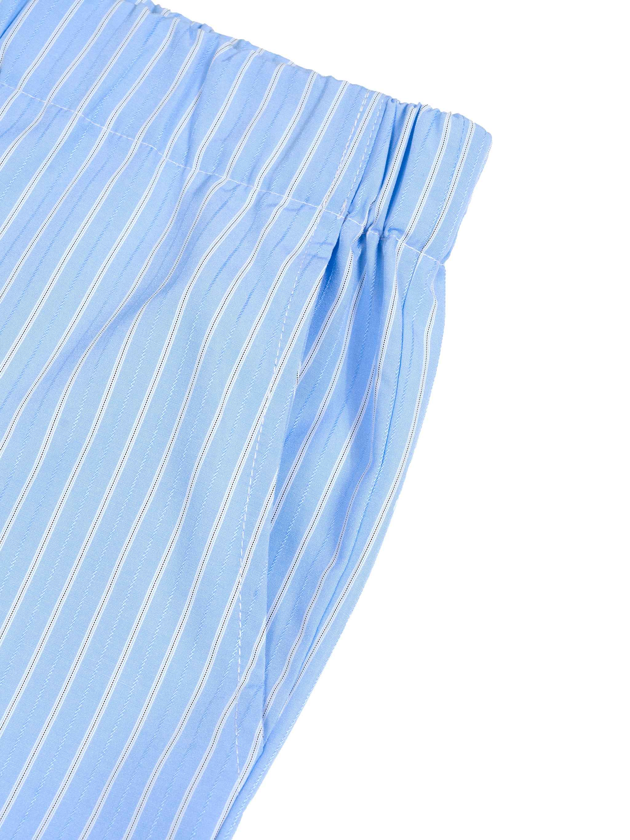 Blue and White Striped Shorts